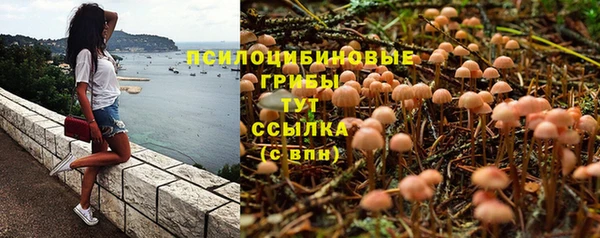 MESCALINE Алзамай