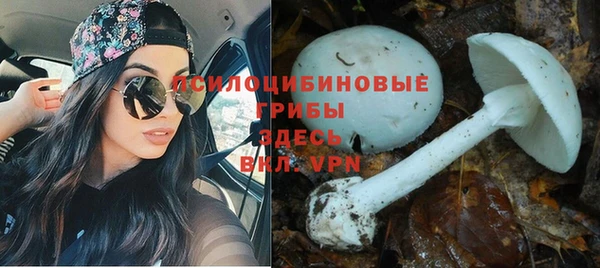 метадон Алексин