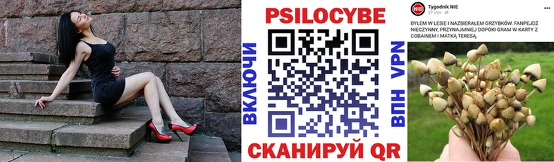 цены   Куровское  Галлюциногенные грибы Magic Shrooms 